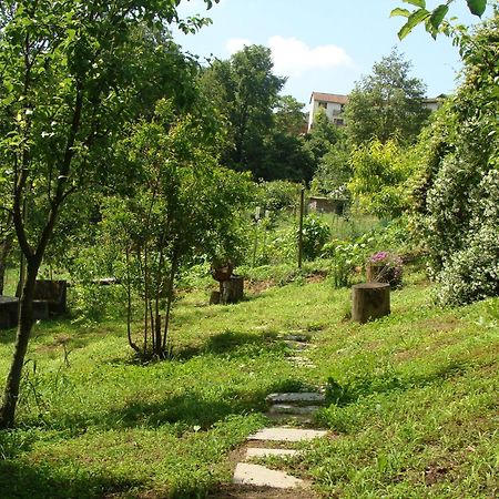 Appartamento In Monferrato Di Dominga Portacomaro Buitenkant foto