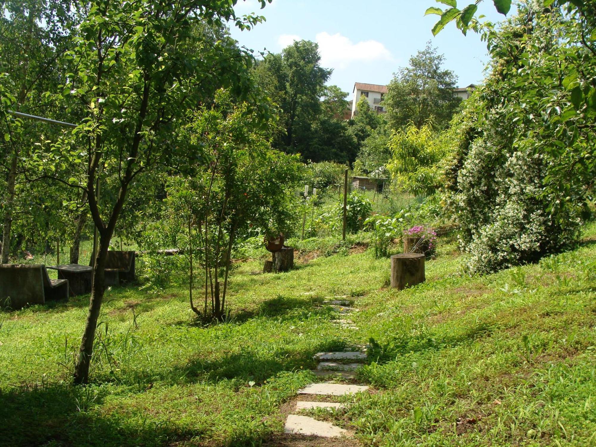 Appartamento In Monferrato Di Dominga Portacomaro Buitenkant foto
