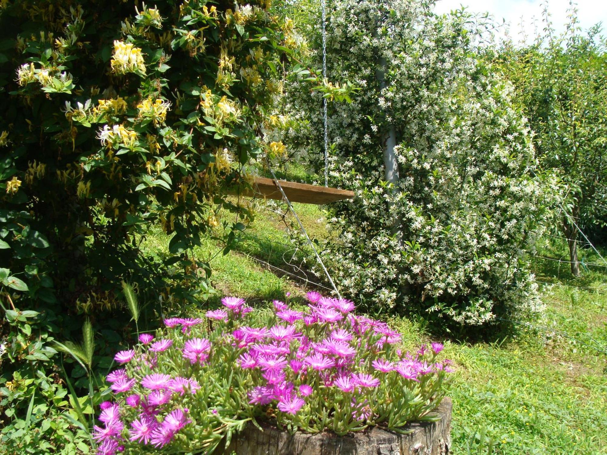 Appartamento In Monferrato Di Dominga Portacomaro Buitenkant foto