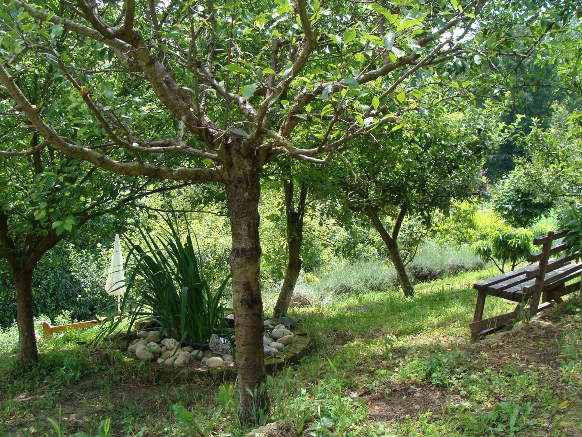Appartamento In Monferrato Di Dominga Portacomaro Buitenkant foto
