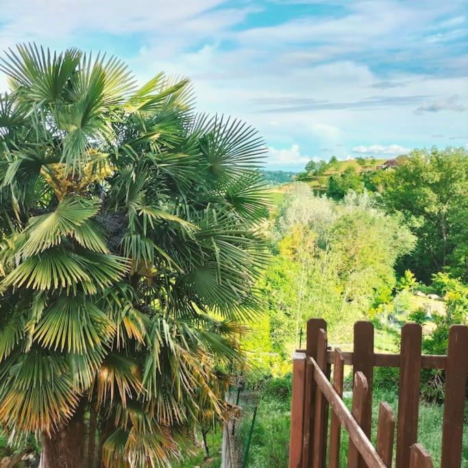 Appartamento In Monferrato Di Dominga Portacomaro Buitenkant foto